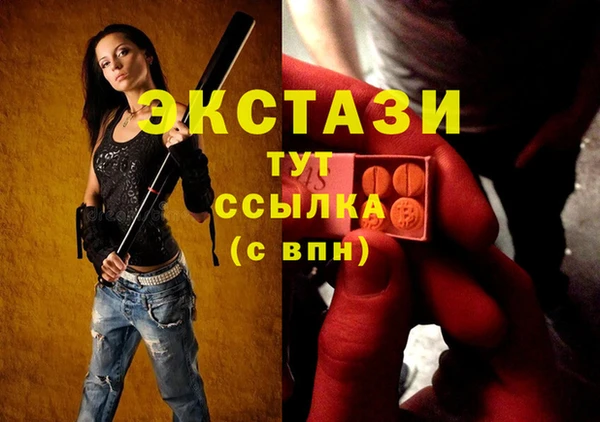 молекула духа Туринск