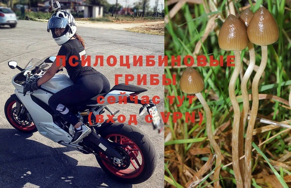 марки lsd Тутаев
