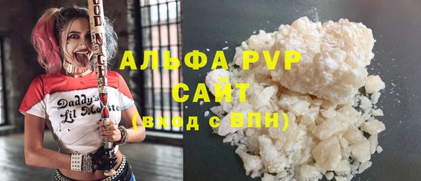 молекула духа Туринск
