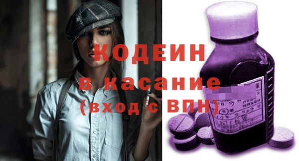молекула духа Туринск