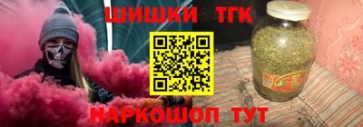 стаф Гатчина