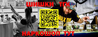 стаф Гатчина