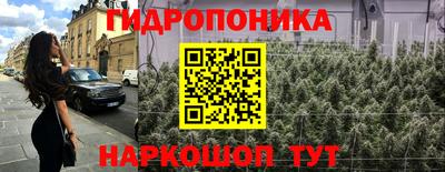 стаф Гатчина