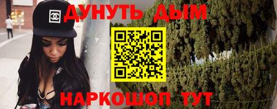 стаф Гатчина
