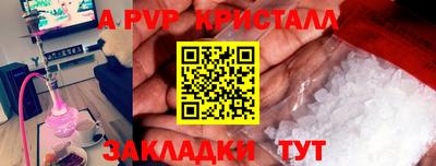 стаф Гатчина