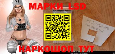стаф Гатчина