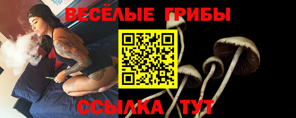 Галлюциногенные грибы Cubensis  Вход с VPN  Шахты  Галлюциногенные грибы Psilocybine cubensis 